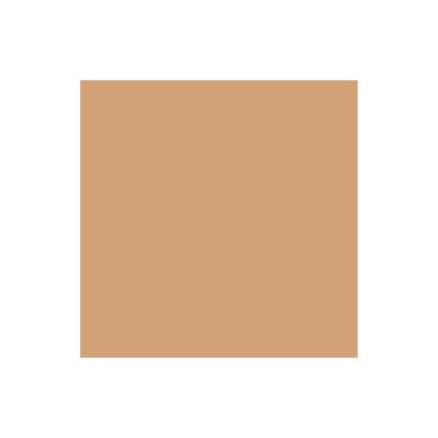 Winsor Newton Brush Marker Cinnamon O427