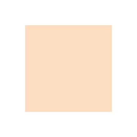 Winsor Newton Brush Marker Blush O729