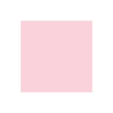Winsor Newton Brush Marker Pale Pink R519