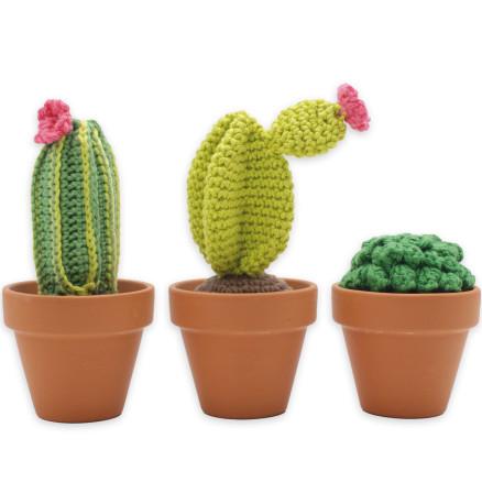 Hardicraft Lag selv/DIY-sett Cacti hekling