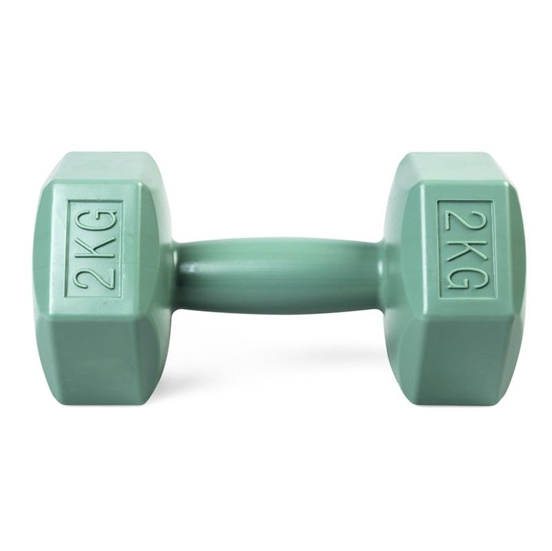 active sports gear ASG Manual 2 kg