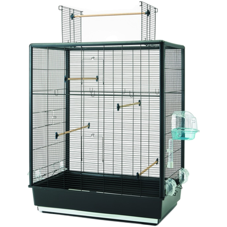 Savic Primo 60 Åpen Empire Svart 80x50x95cm - Fugl - Bur & transport - Fuglebur - Savic