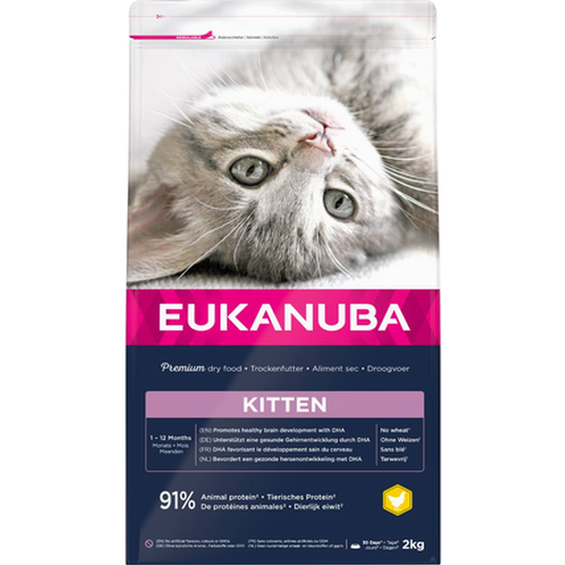 Eukanuba Cat Kitten Healthy Start 2 kg - Katt - Kattefôr & kattemat - Tørrfôr for katt - Eukanuba