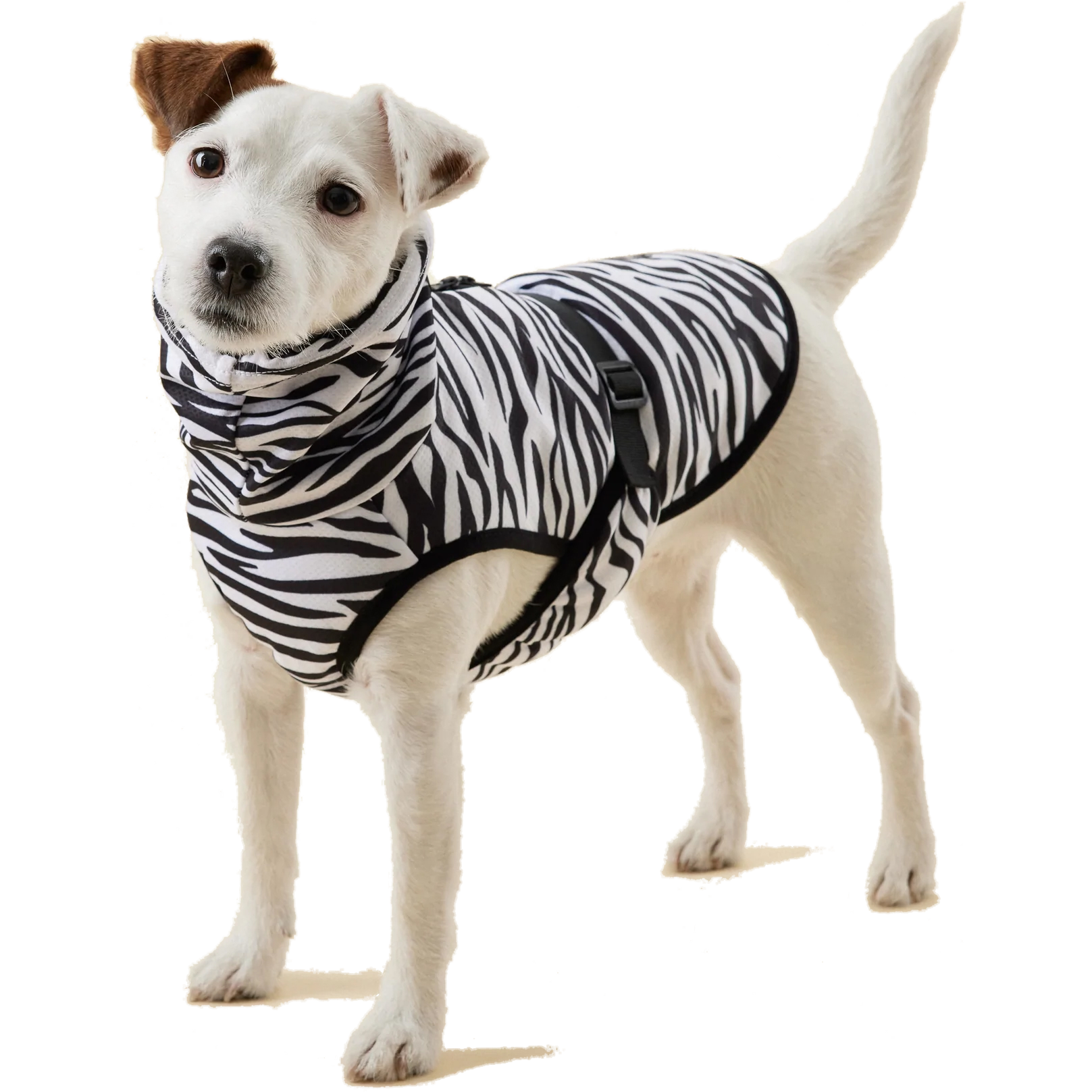 PAIKKA Cool&Bug Vest 30cm - Hund - Hundepleie & kosttilskudd - Kjølematter - PAIKKA