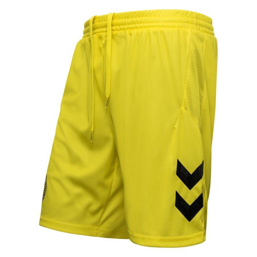 Hummel Danmark Keepershorts 2023/24