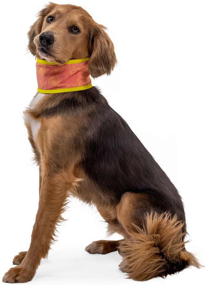 RuffWear RuffWear Swamp Cooler Neck Gaiter Salmon Pink/Blue Mist