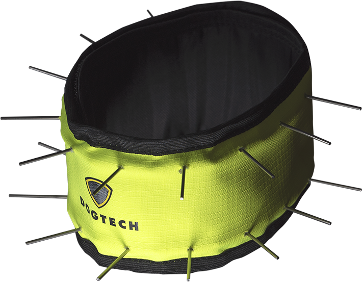 DogTech DogTech Neck 2022