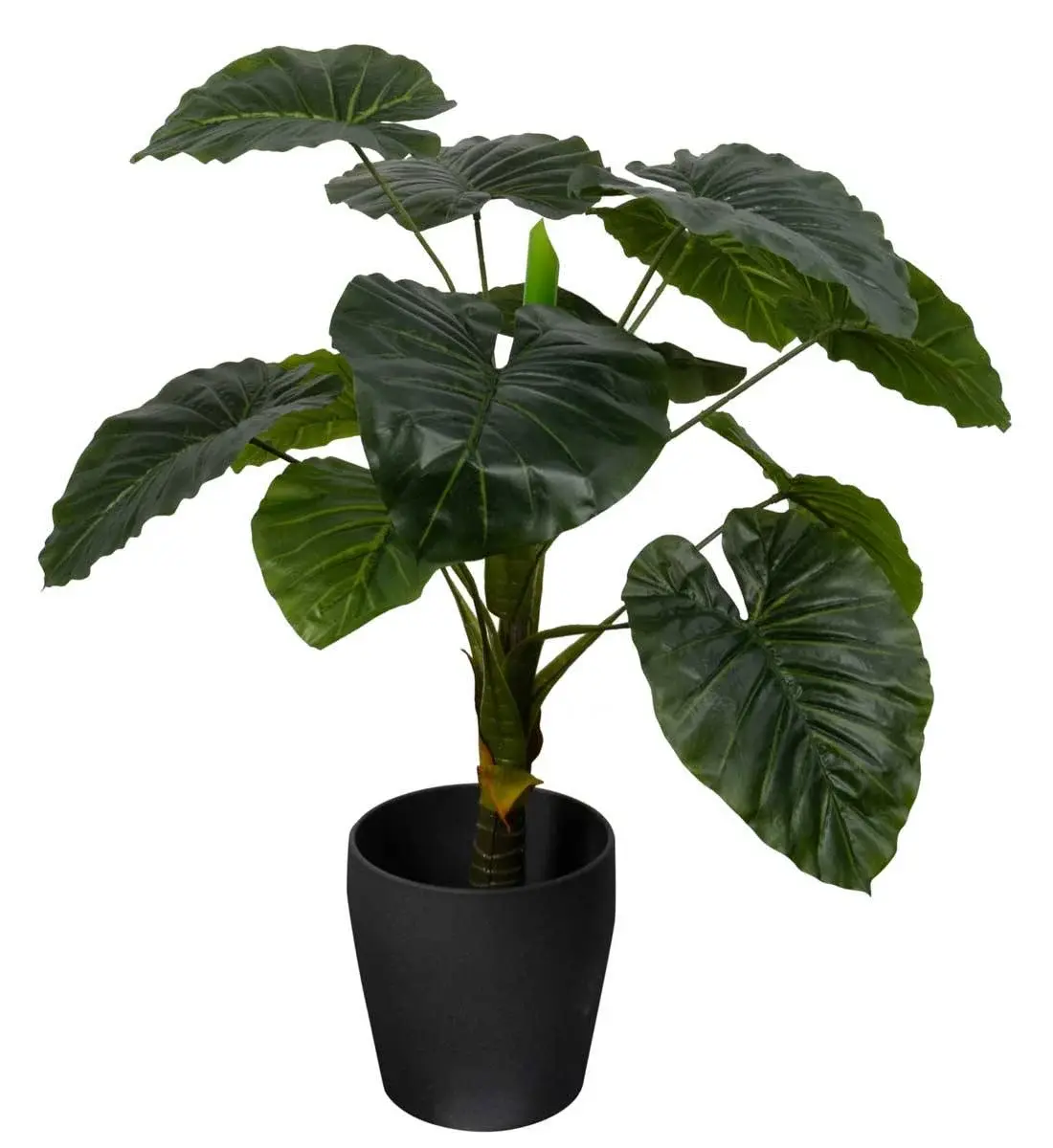 HOME-TEX Kunstig Alocasia Odora-plante - Høyde 90 cm - En stamme med grønne blader - Kunstig gulvplante