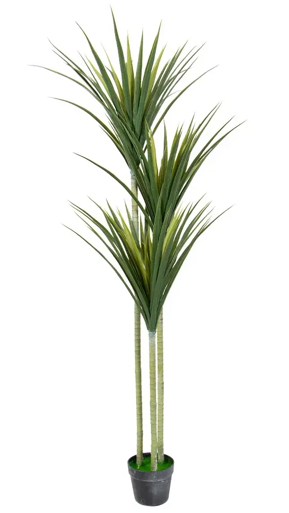HOME-TEX Kunstig palme med 3 stammer, 160 cm høy - Dracaena Marginata palme