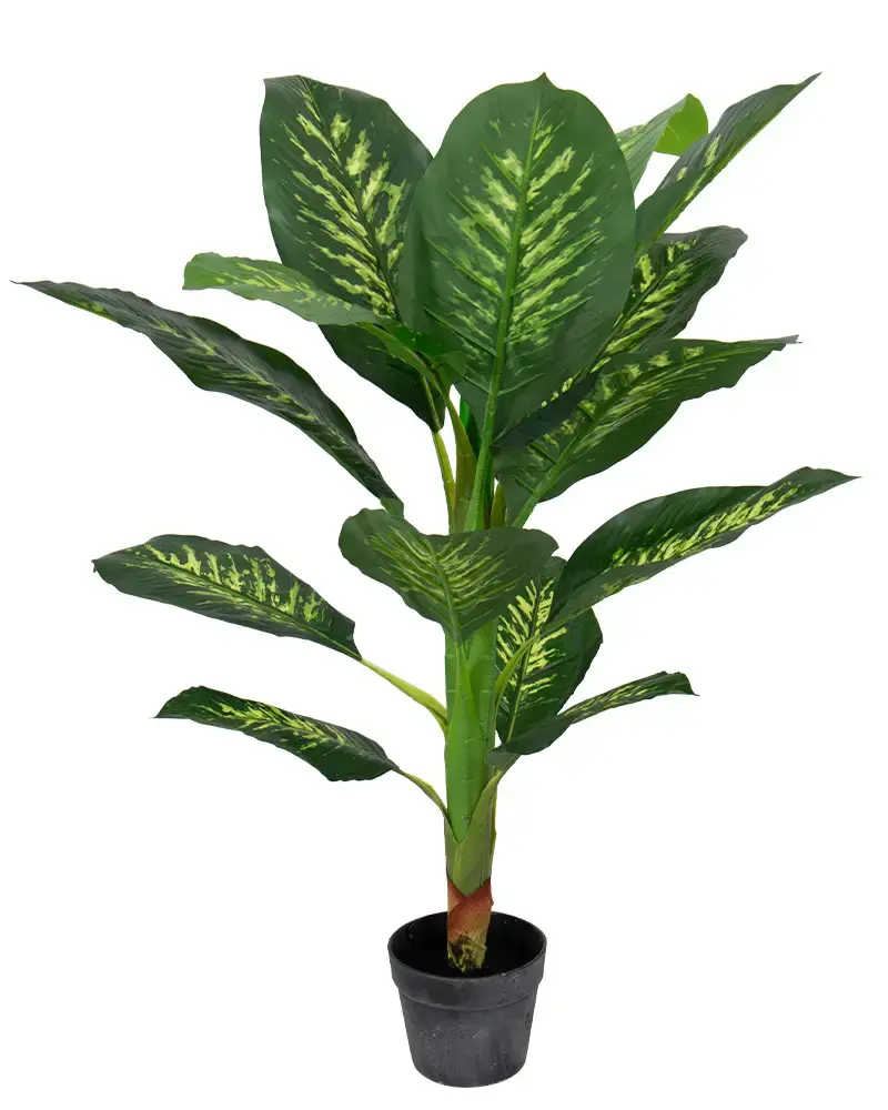 HOME-TEX Kunstig plante 90 cm høy - Dieffenbachia Tropic Snow med vakre store blader