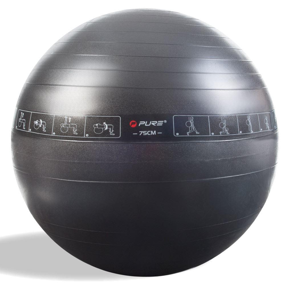 Pure2Improve Pure2Improve Exercise Ball, Gymball