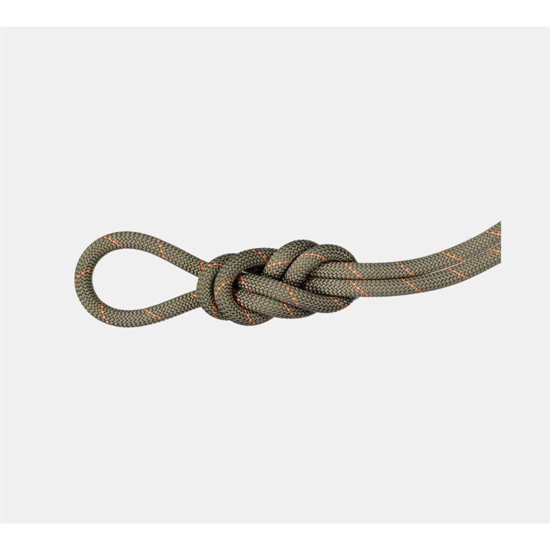 Mammut Mammut 9.9 Crag Workhorse Dry Rope 70m