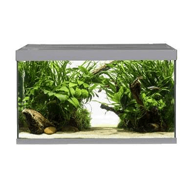 Akvastabil Element Akvarier - 144 liter - Grå