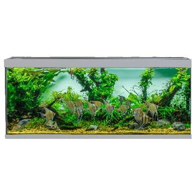 Akvastabil Element Akvarier - 180 liter - Grå