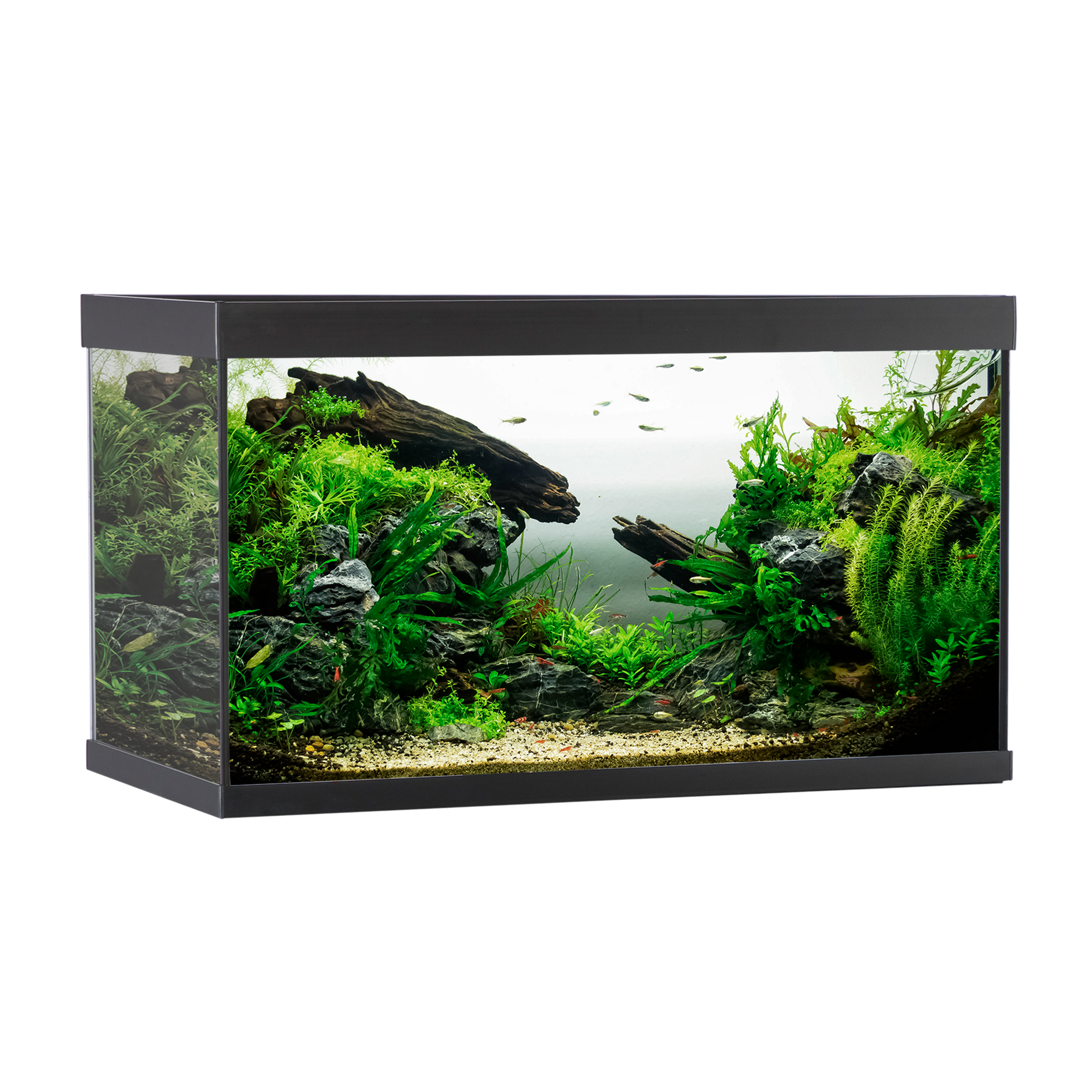 Akvastabil Element Akvarier - 144 liter - Sort