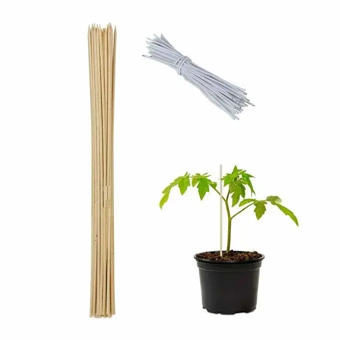 RXS Blomsterpinner 60 cm i sett med 50 stk