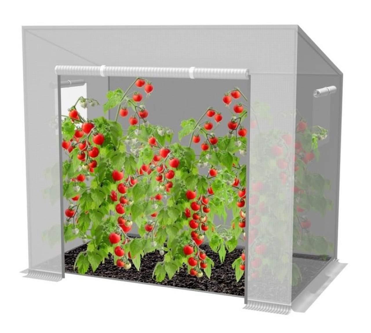 IKA Tomatdrivhus hvit 200x77x168/146cm 0766