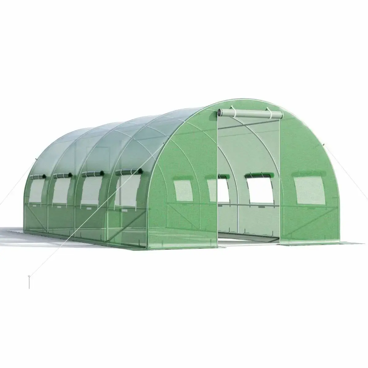 CWY 600 x 300 x 200 cm Stor Walk-in Tunnel Drivhus Grønn