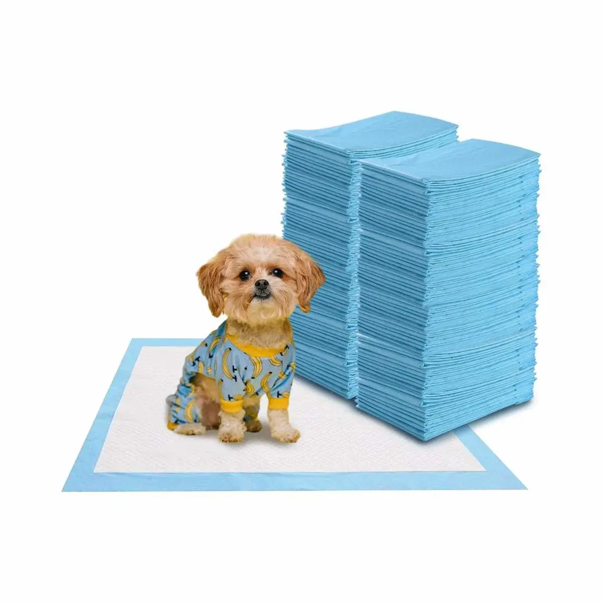 CWY Pakke med 100 hundetreningsputer med lekkasjesikre 5-lags valpeputer 60 x 60 cm