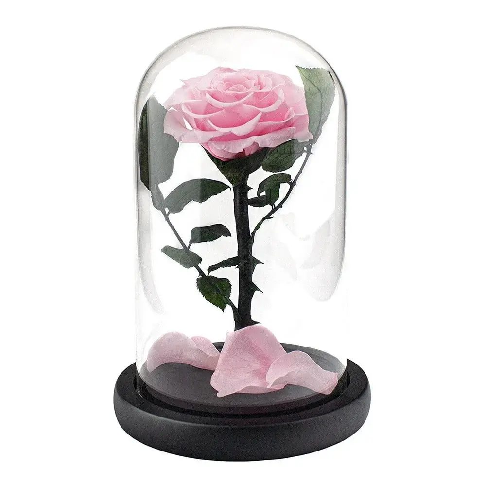 eStore Stor Rose i Glasskuppel - Rosa
