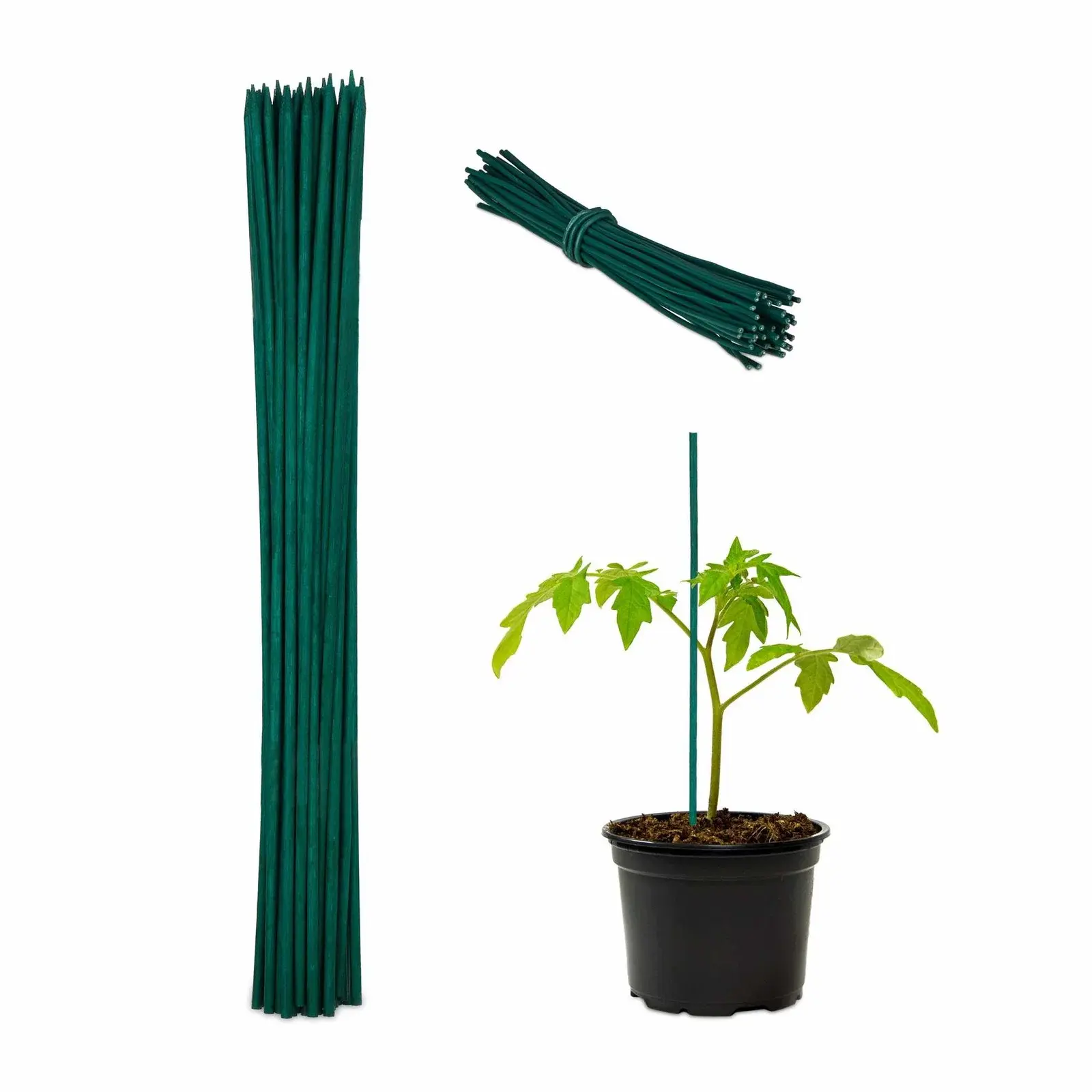 RXS Blomsterpinner 30 cm i et sett med 50 stk