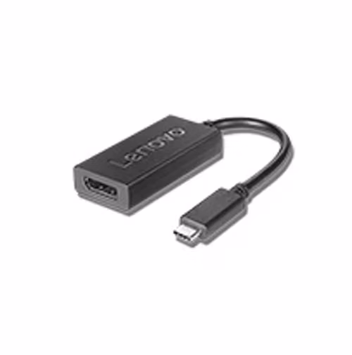 Lenovo Lenovo Usb-c To Displayport Adapter 0.2m Usb-c Displayport Svart