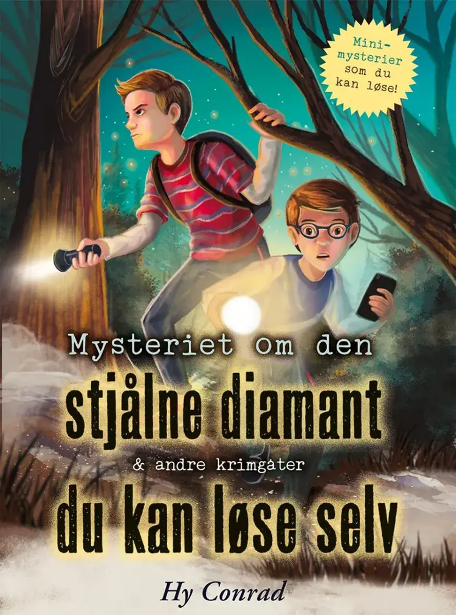 X Mysteriet om den stjålne diamant