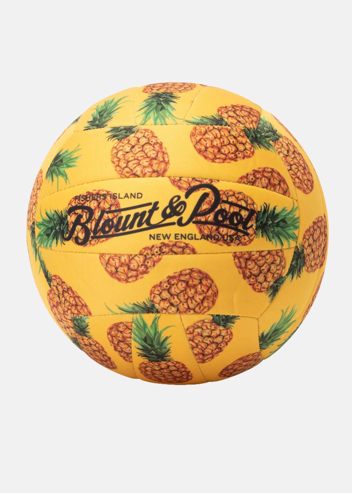 Blount & Pool Beach Volleyball