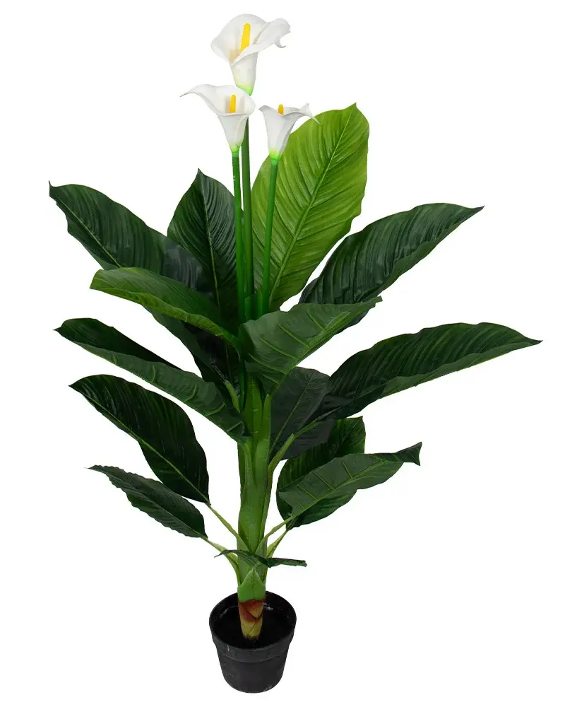 HOME-TEX Kunstig plante - Høyde 120 cm - Dekorativ Calla med tre vakre hvite blomster