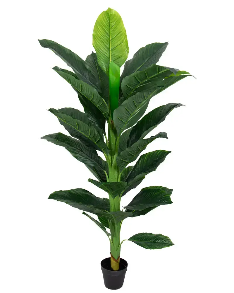 HOME-TEX Kunstig plante 160 cm høy - Stor og vakker Spathiphyllum med mange fyldige blader