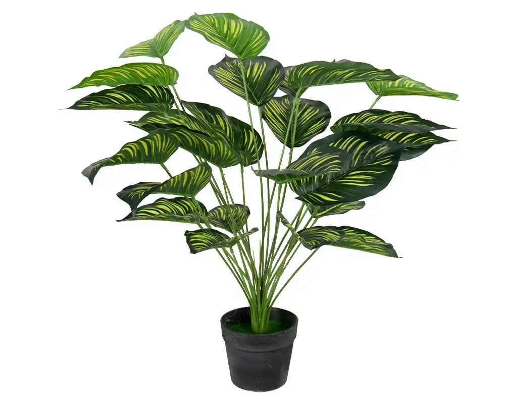 HOME-TEX Kunstig plante 70 cm - Calathera med store vakre grønne blader