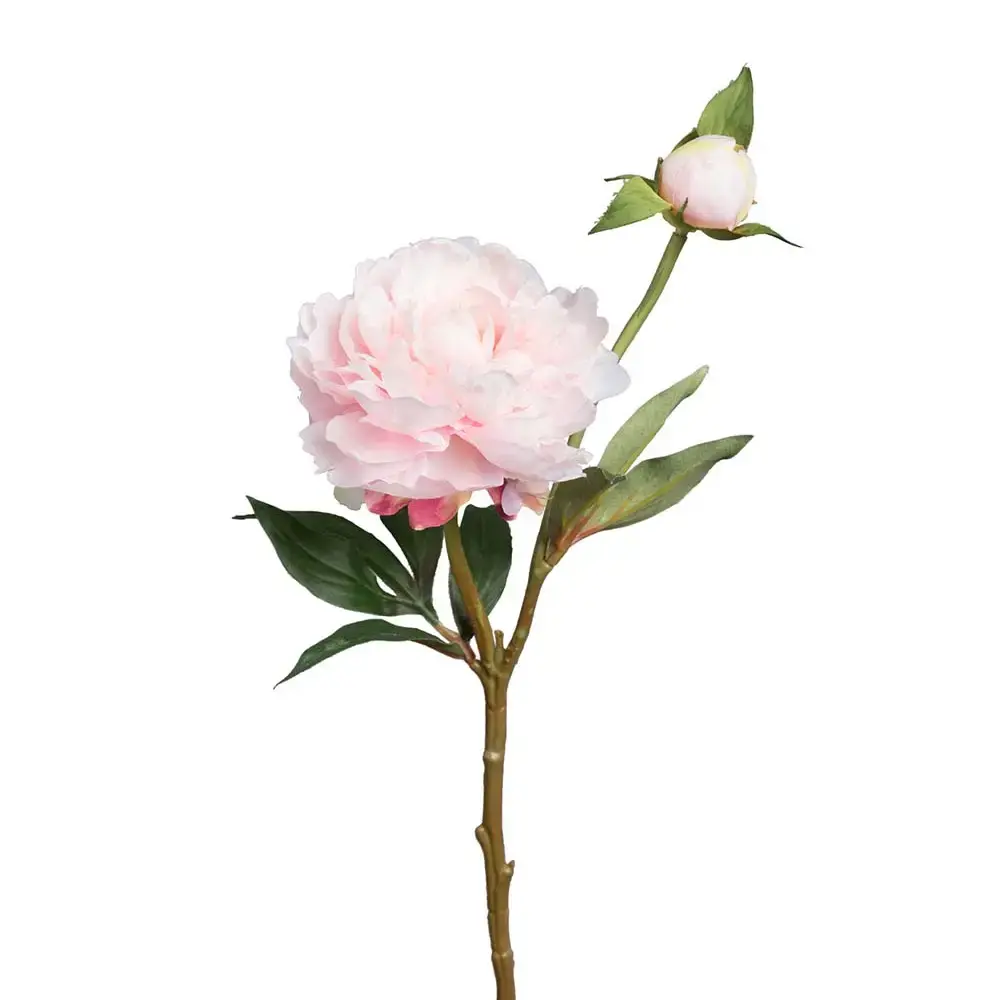 Mr Plant Mr Plant, Peon 35 cm Rosa