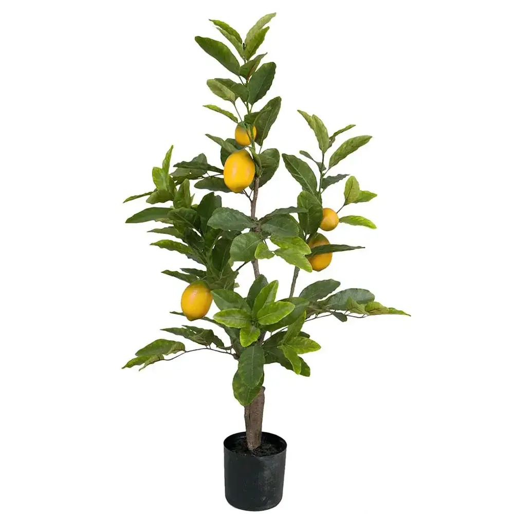 Mr Plant Mr Plant, Sitrontre 90 cm