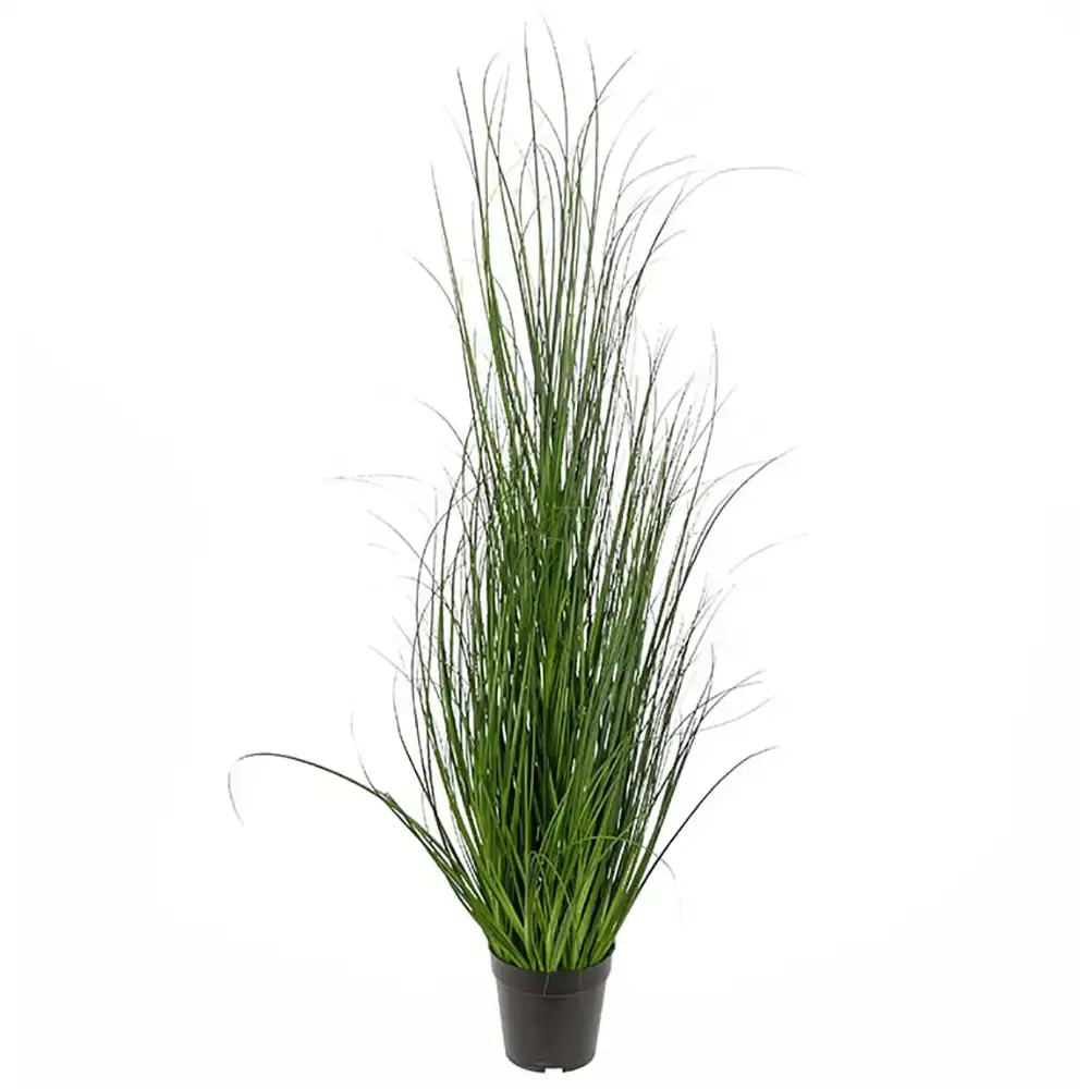 Mr Plant Mr Plant, Gress 110 cm