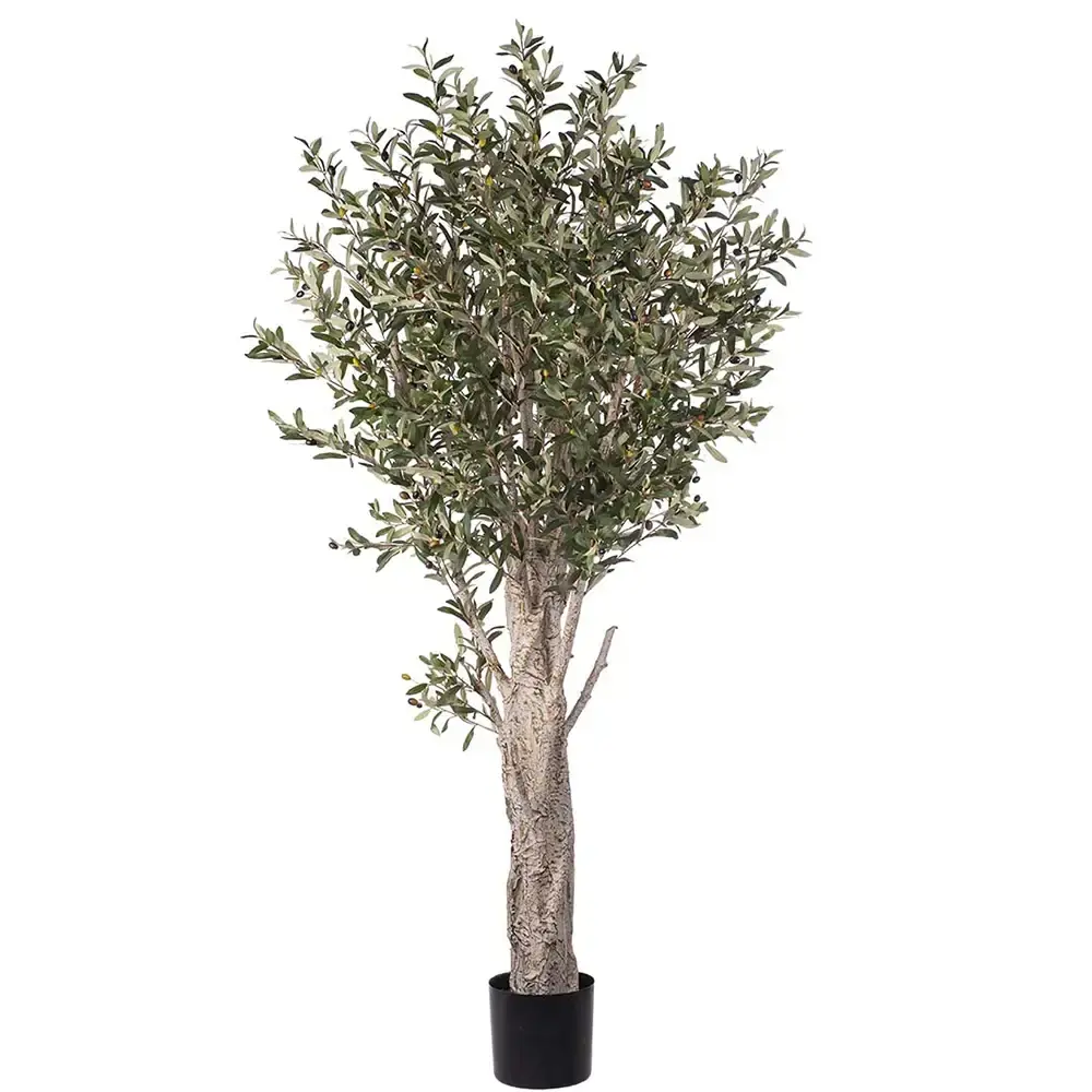Mr Plant Mr Plant, Oliventre 190 cm