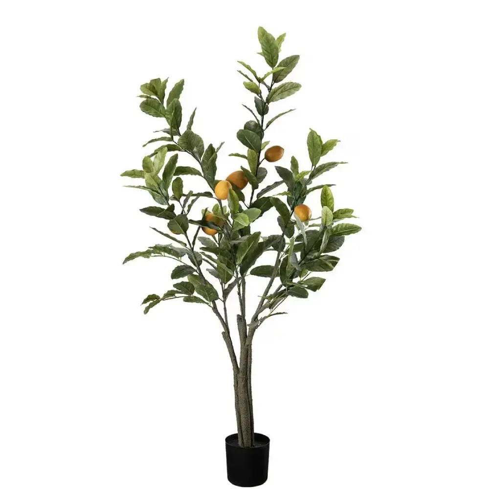 Mr Plant Mr Plant, Sitrontre Grønn 120 cm