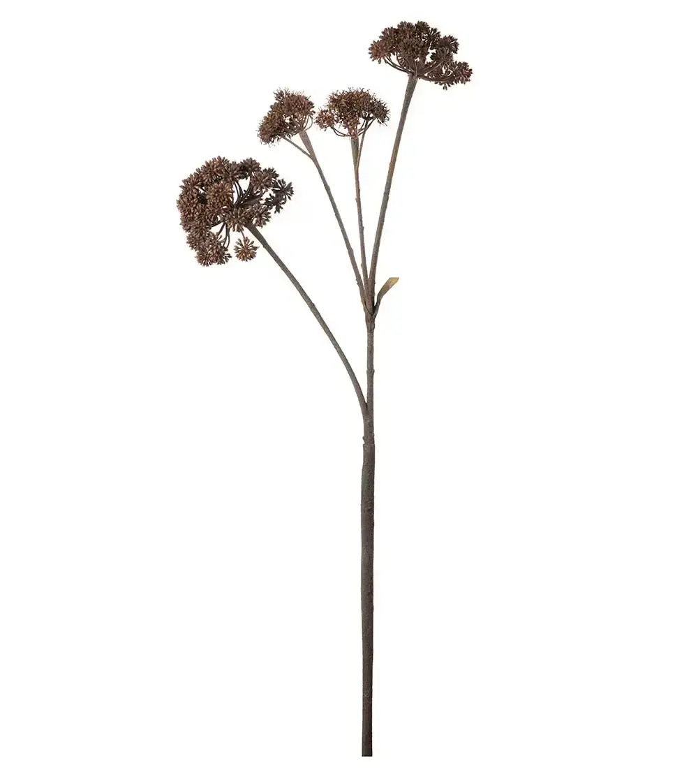 Mr Plant Mr Plant, Angelica Brown Avskårne plante 125 cm