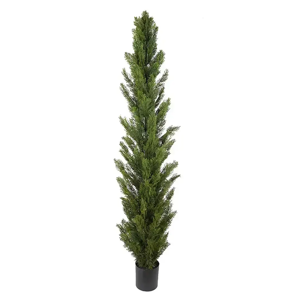 Mr Plant Mr Plant, Cypress Tre 120 cm