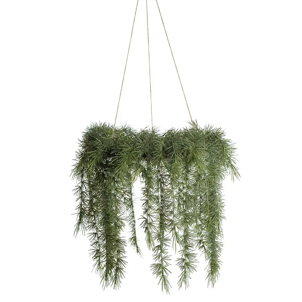 Mr Plant Mr Plant, Hengende julekrans