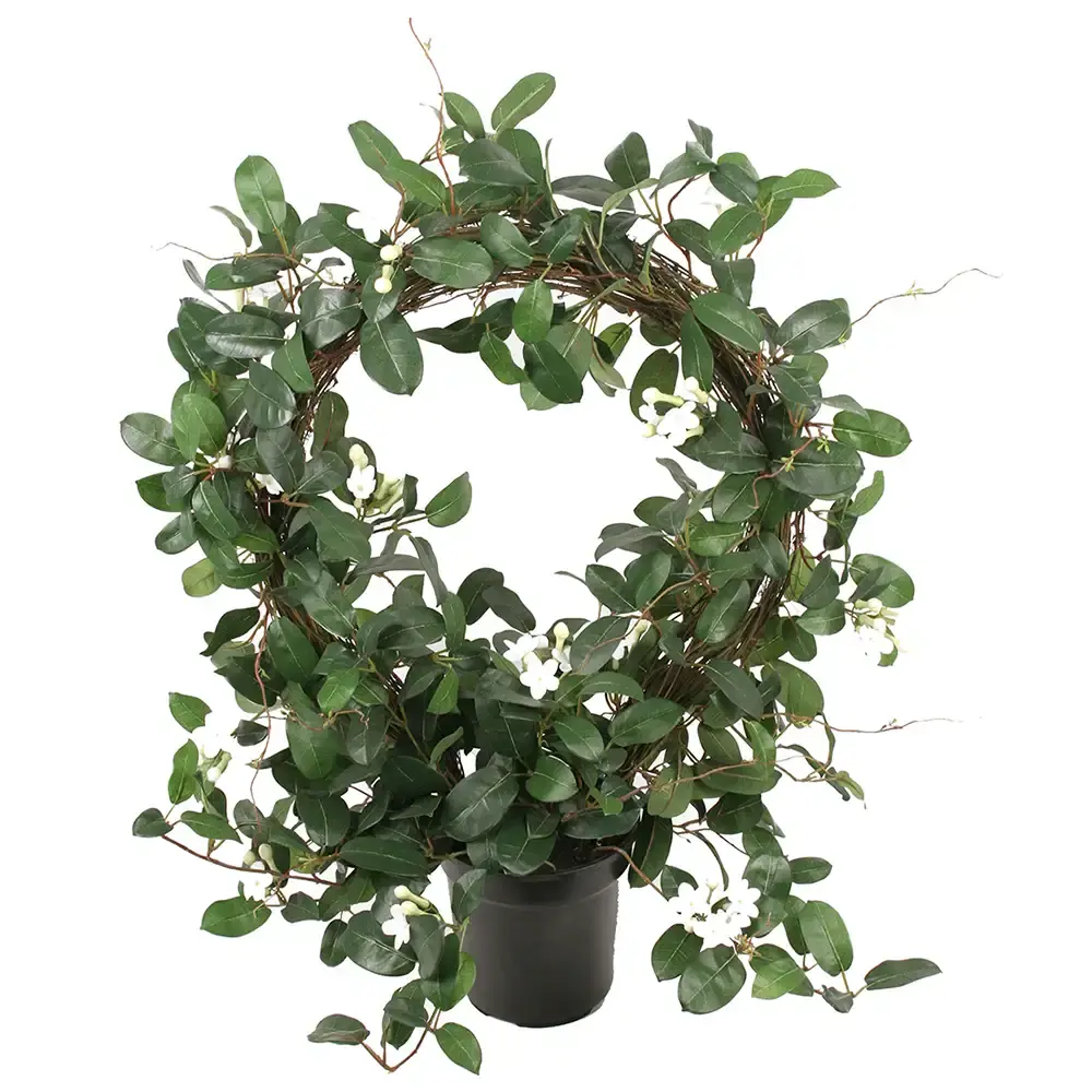 Mr Plant Mr Plant, Stephanotis Potteplante 75 cm Hvit