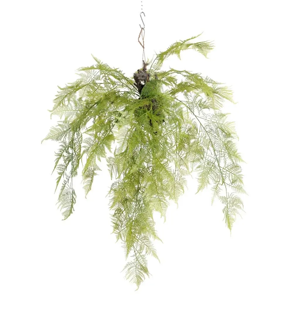 Mr Plant Mr Plant, Bregnegrønn 110 cm
