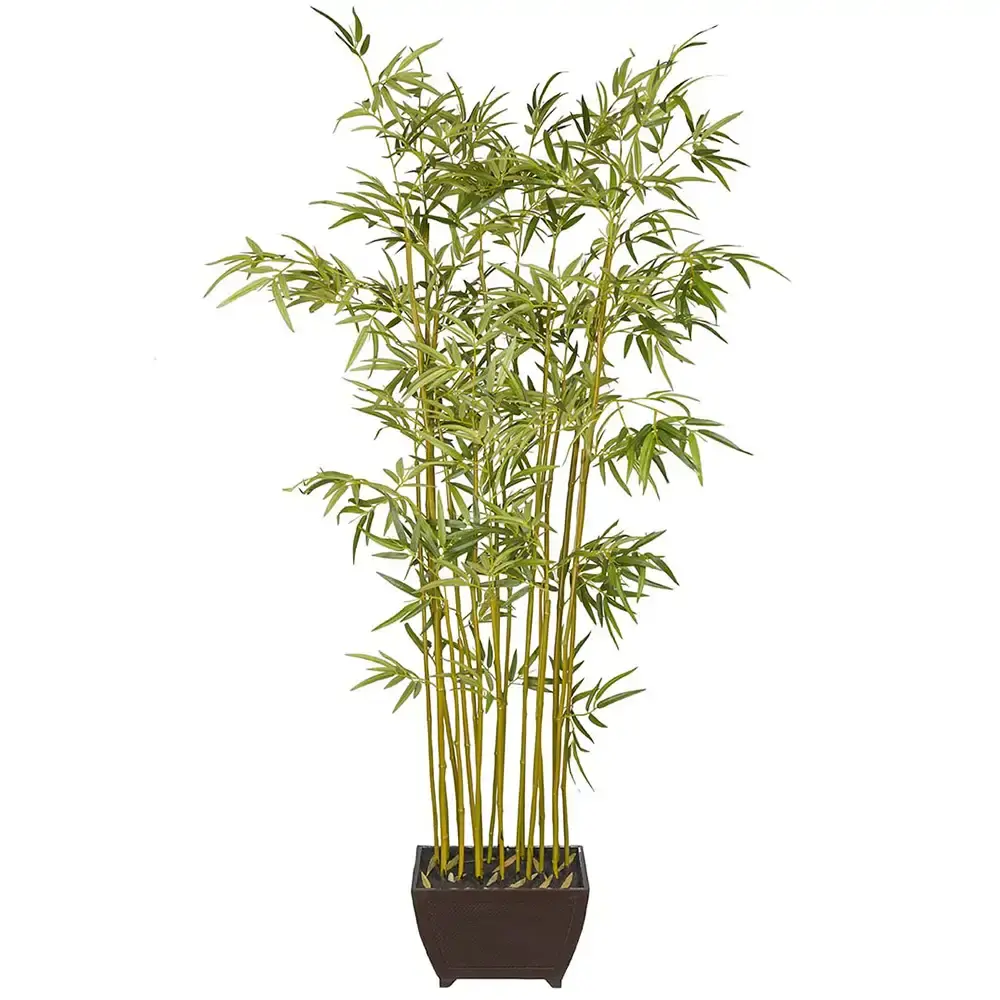 Mr Plant Mr Plant, Bambus 190 cm