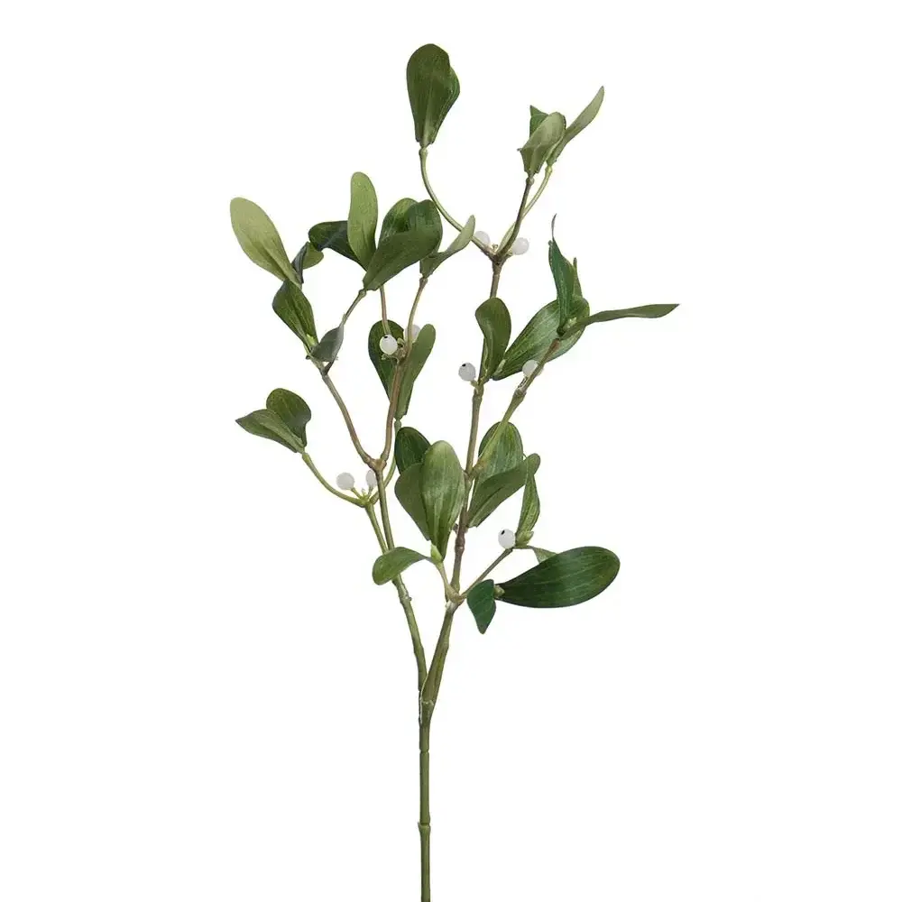 Mr Plant Mr Plant, Misteltein 60 cm