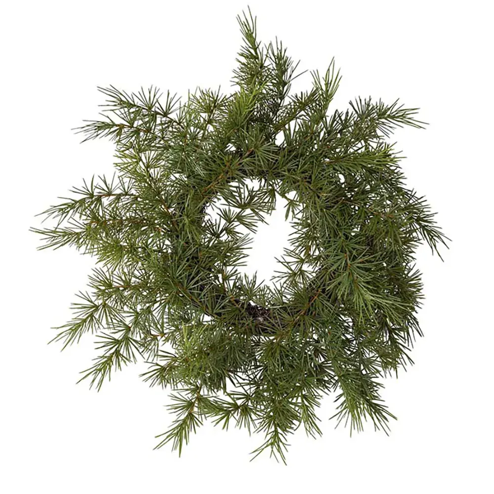 Mr Plant Mr Plant, Krans 45 cm