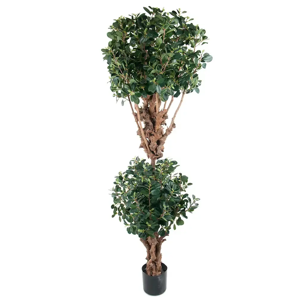 Mr Plant Mr Plant, Panda Fiken 180 cm