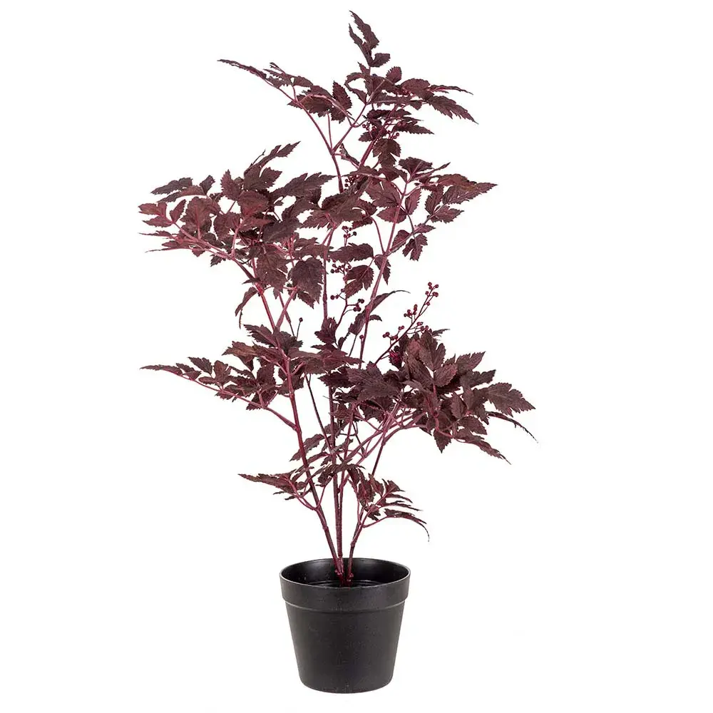 Mr Plant Mr Plant, Silverax Potteplante 75 cm