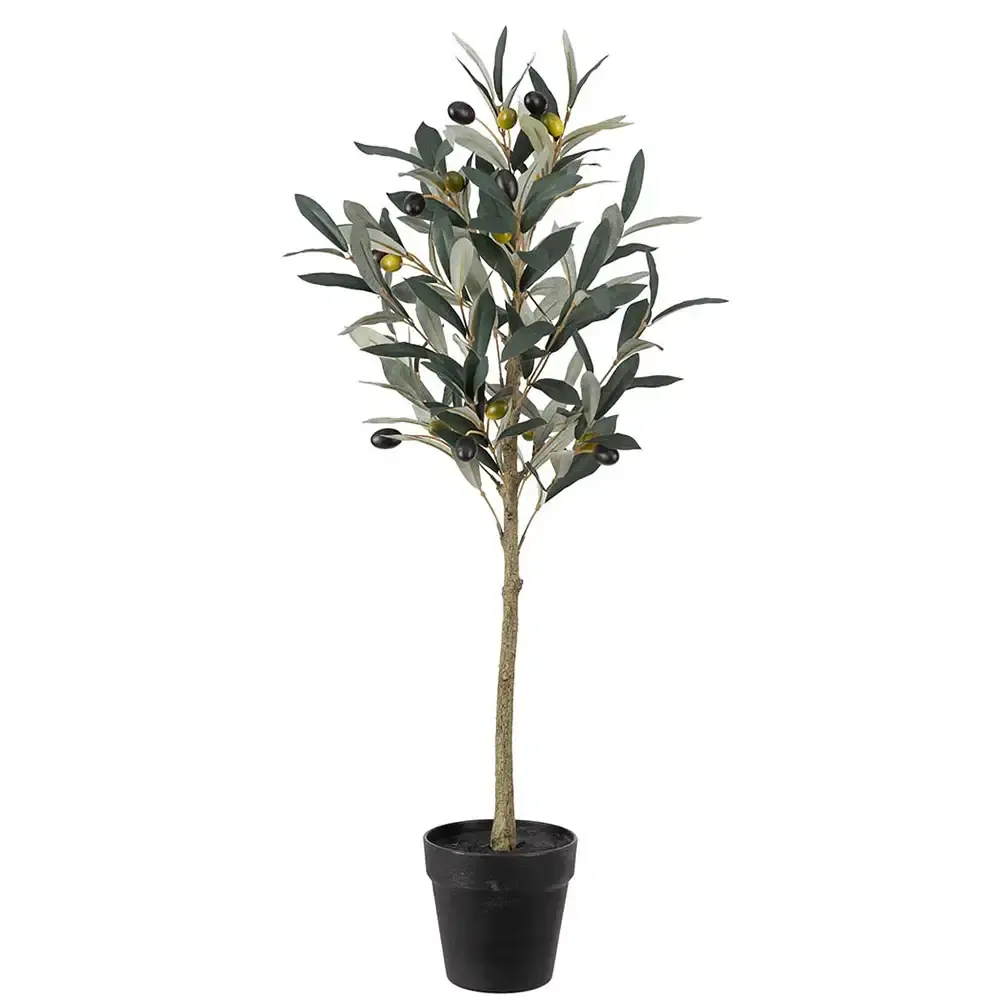 Mr Plant Mr Plant, Oliven Potteplante 75 cm