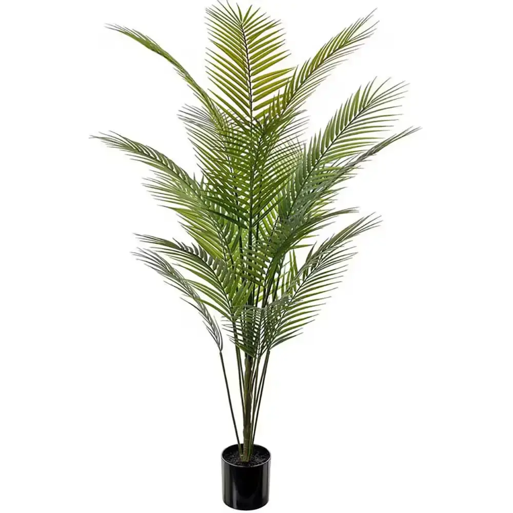 Mr Plant Mr Plant, Fjellpalme Grønn potteplante 140 cm