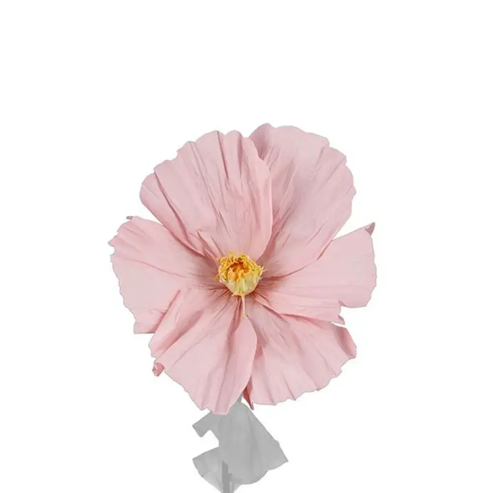 Mr Plant Mr Plant, Blomst Lykke Pink