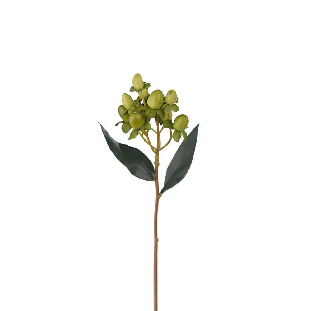 Mr Plant Mr Plant, Hypericum bærkvist 28 cm grønn